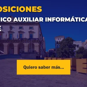 técnico auxiliar informática estado