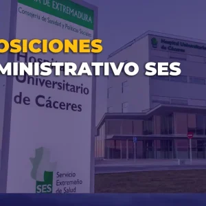 administrativo ses pago único
