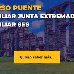 curso puente auxiliar junta de extremadura auxiliar ses