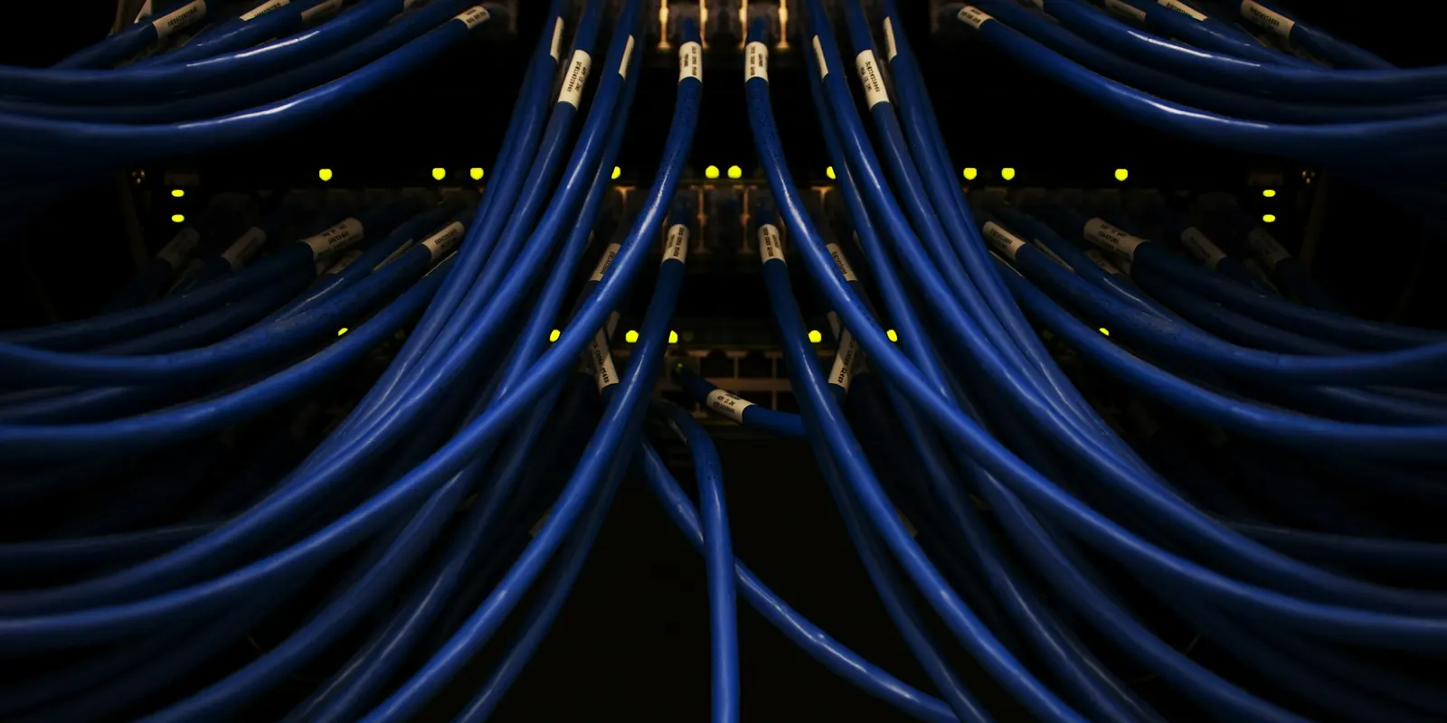 promocion interna tai estado Cables de red azules conectados a un switch